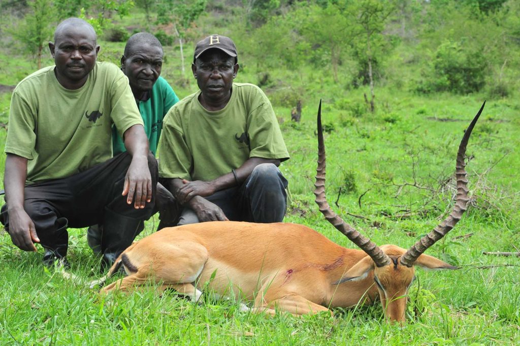 uganda hunting safaris 
